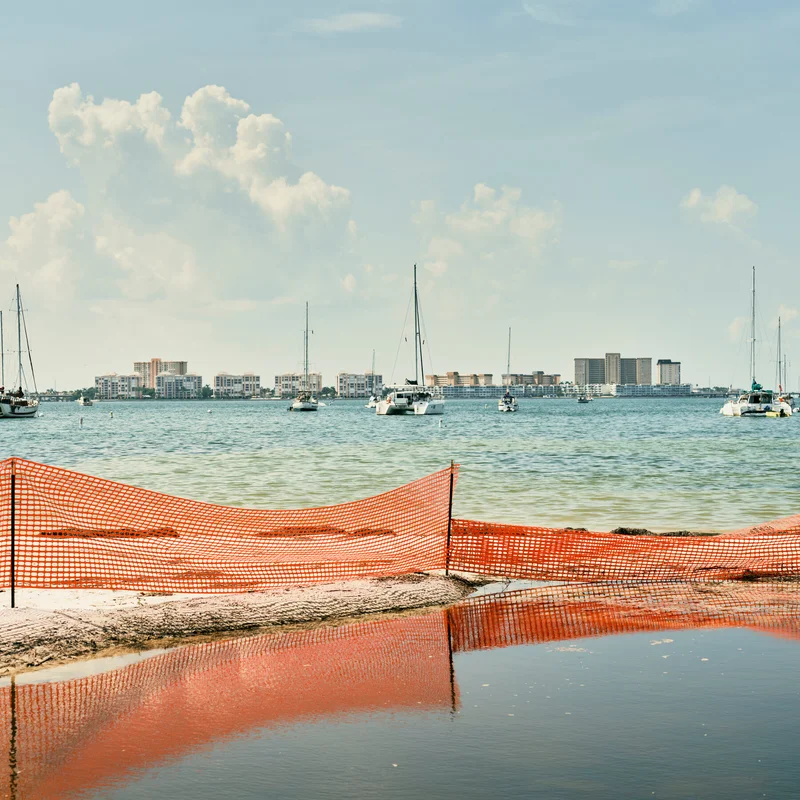 Making Florida More Flood Resistant Is Forcing Hard Choices for Homeowners