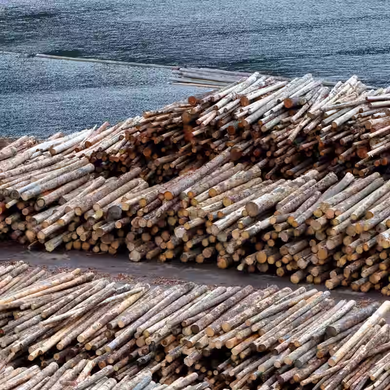 Trump Officials Flesh Out Tariffs on Kitchen Cabinets, Furniture and Timber