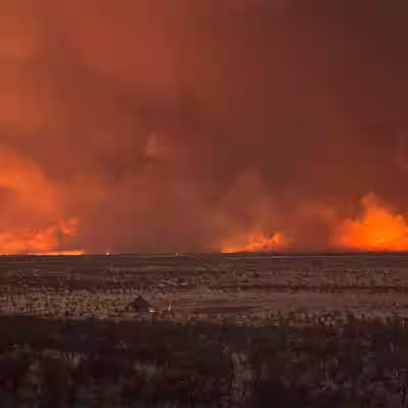 Wildfire in Namibia Rips Through Etosha National Park