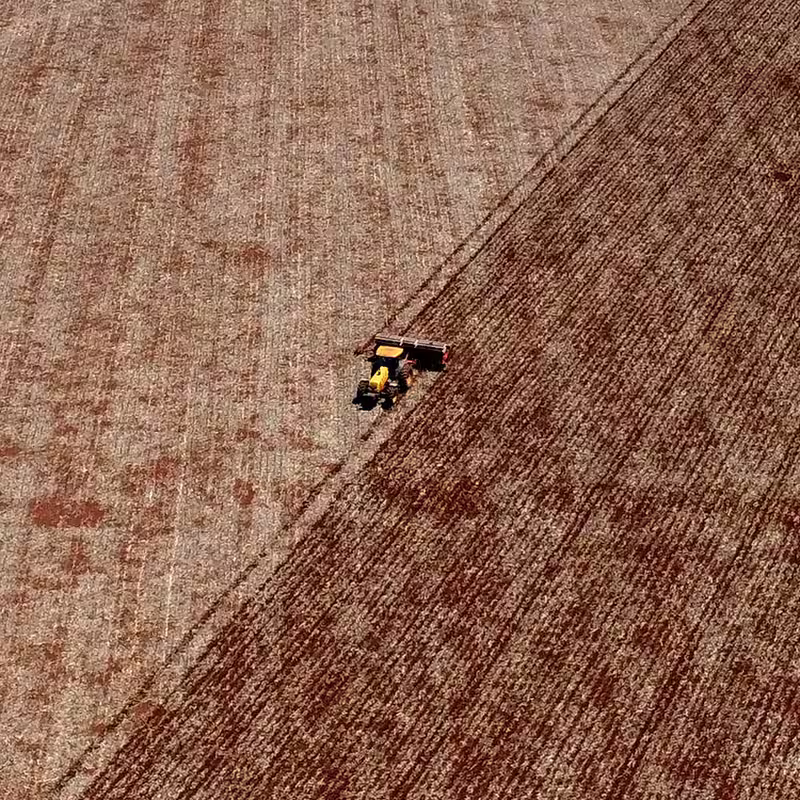 Trump’s Tariff Fight With China Means Trouble for a Vast Wilderness in Brazil