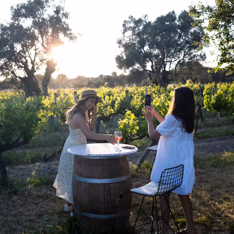 Napa on the Aegean: A Turkish Wine Region Re-emerges
