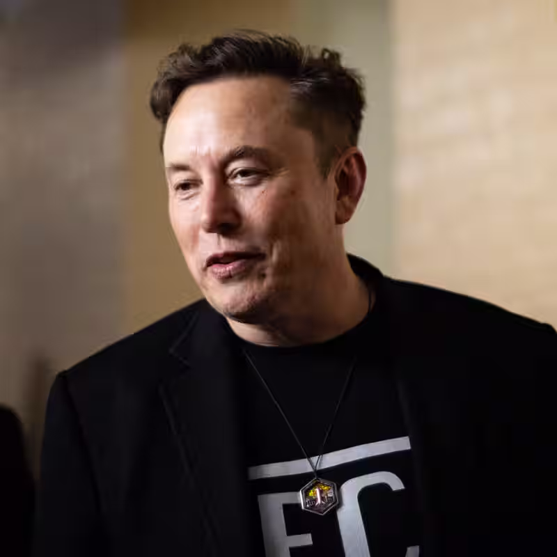 Tesla Reveals Cheaper Versions of Model Y and Model 3