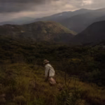 Bolivia Pushes to Reclaim the Coca Leaf From the Stigma of Cocaine