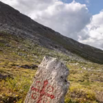 A Pilgrim Route in Norway: Berries, Bogs and a Viking King