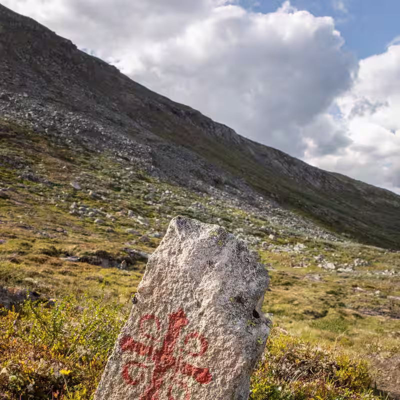 A Pilgrim Route in Norway: Berries, Bogs and a Viking King