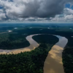 To Meet Pledges to Save Forests Spending Must Triple, U.N. Report Says