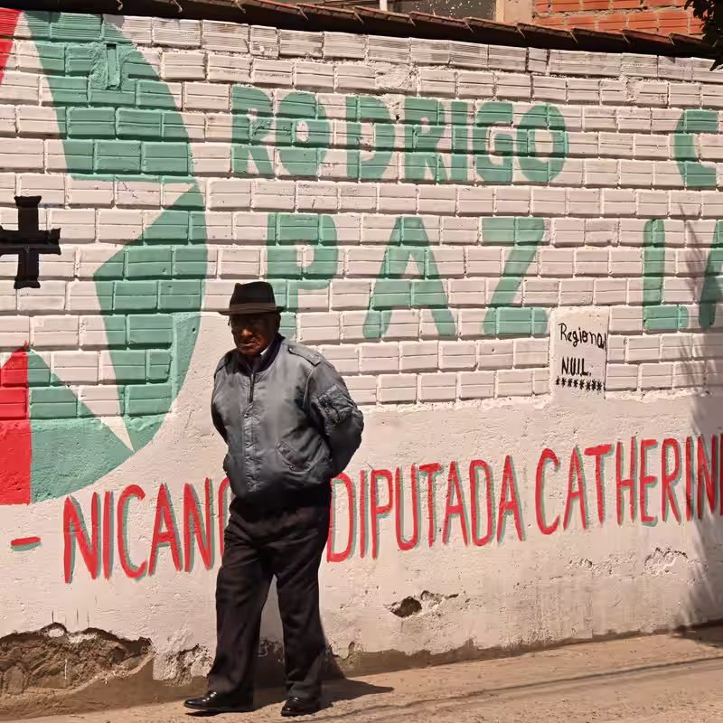 Elección presidencial en Bolivia: esto hay que saber
