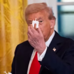 What to Know About Trump’s Plan for a Triumphal Arch in Washington