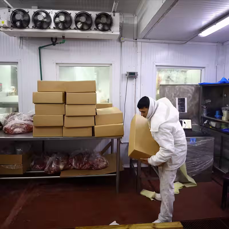 G.O.P. Senators Urge Vance to Cancel Plan to Increase Beef Imports