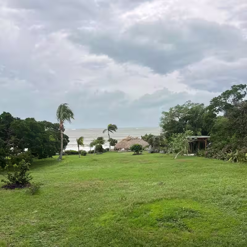 Hurricane Melissa’s Direct Hit Knocks Most of Jamaica Offline