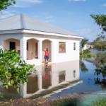 The Warnings Before the Hurricane