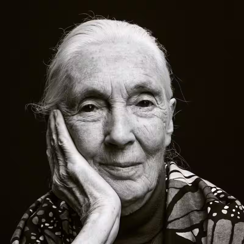 Jane Goodall, Revered Chimpanzee Expert and Conservationist, Dies at 91