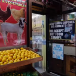 What Is Happening With SNAP Benefits During the Shutdown?